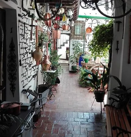 Casa Museo Jerez Centro * Jerez de la Frontera