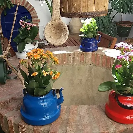 Casa Museo Jerez Centro Appartamento *