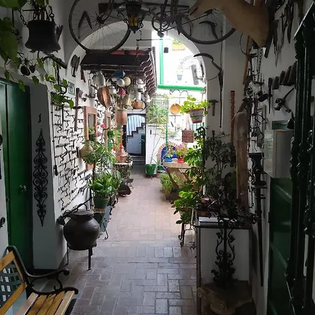 Casa Museo Jerez Centro Appartement