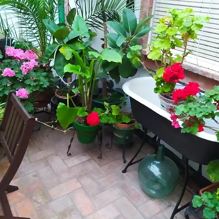 Appartement Casa Museo Jerez Centro *