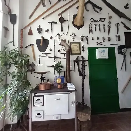 Casa Museo Jerez Centro Apartment Jerez de la Frontera