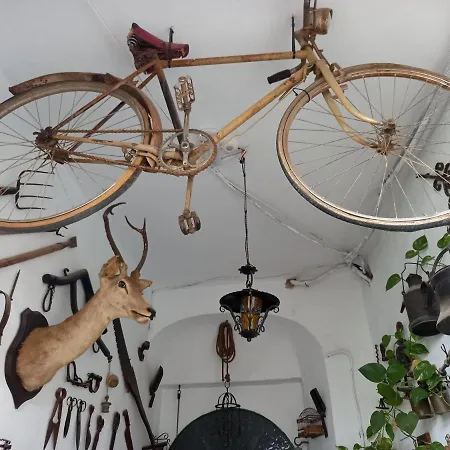 Appartement Casa Museo Jerez Centro Jerez de la Frontera