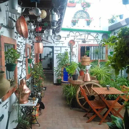 Apartment Casa Museo Jerez Centro Jerez de la Frontera