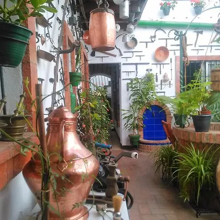 Casa Museo Jerez Centro Apartment Jerez de la Frontera